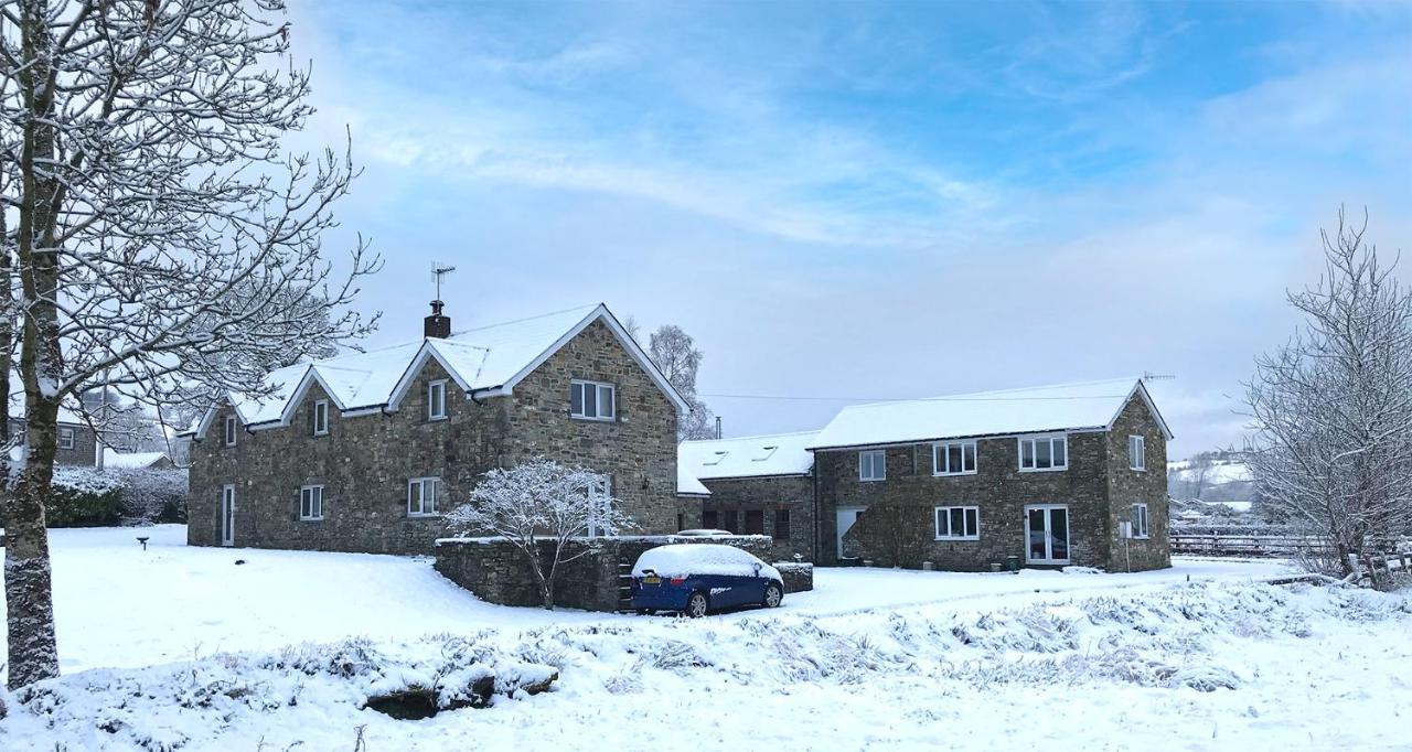 Maesyfelin Isaf B&B Llanybyther Buitenkant foto