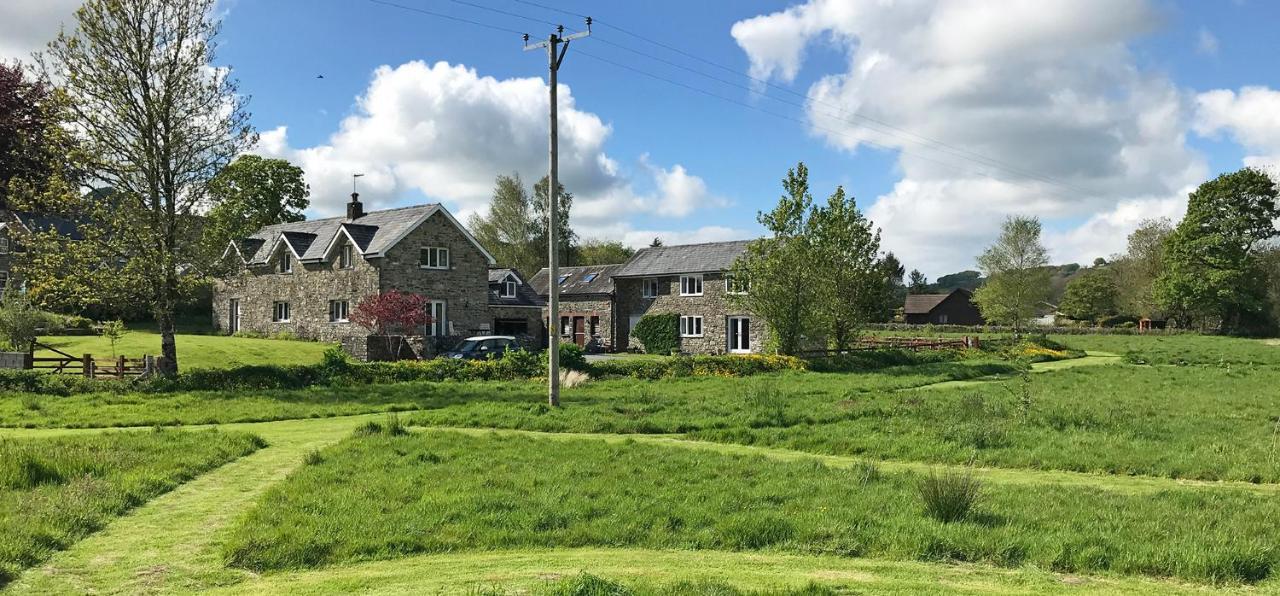 Maesyfelin Isaf B&B Llanybyther Buitenkant foto