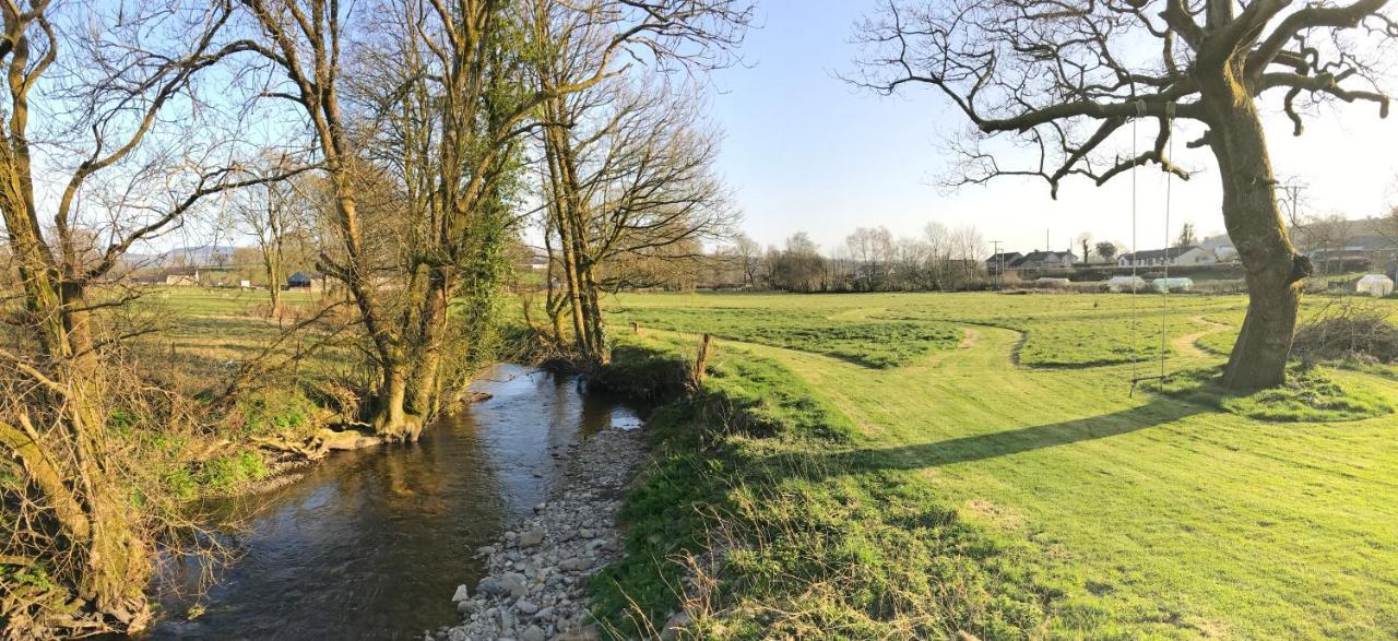 Maesyfelin Isaf B&B Llanybyther Buitenkant foto