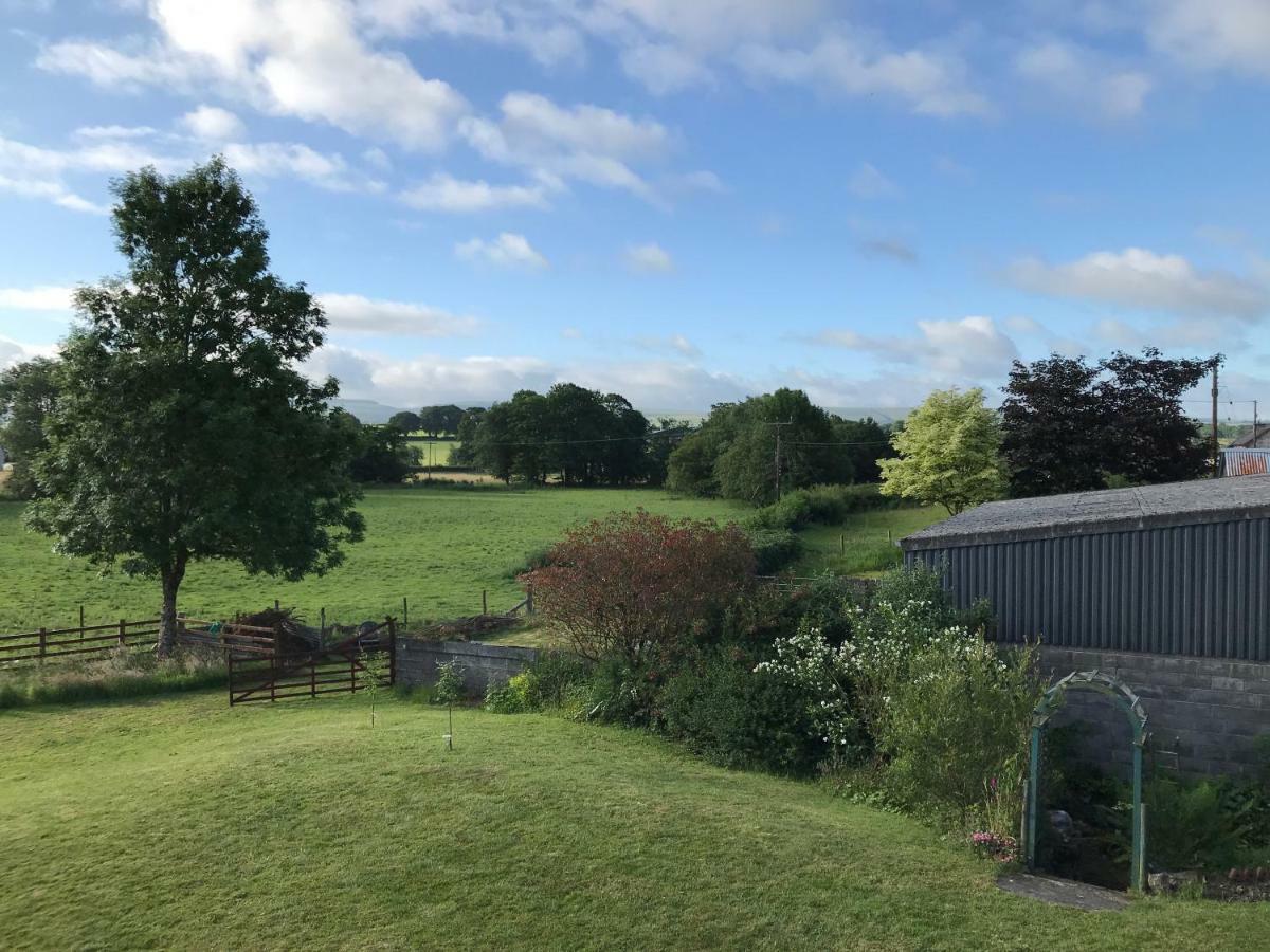 Maesyfelin Isaf B&B Llanybyther Buitenkant foto
