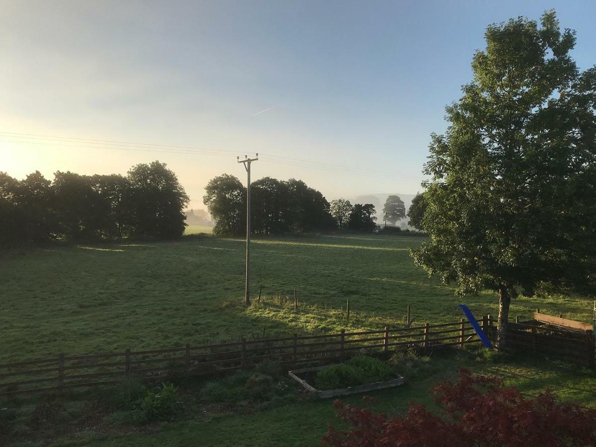 Maesyfelin Isaf B&B Llanybyther Buitenkant foto