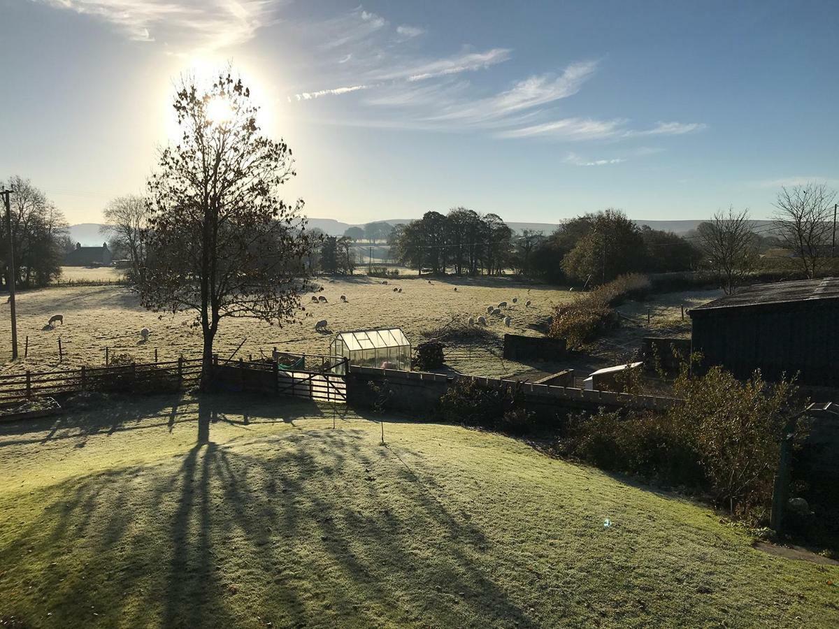 Maesyfelin Isaf B&B Llanybyther Buitenkant foto