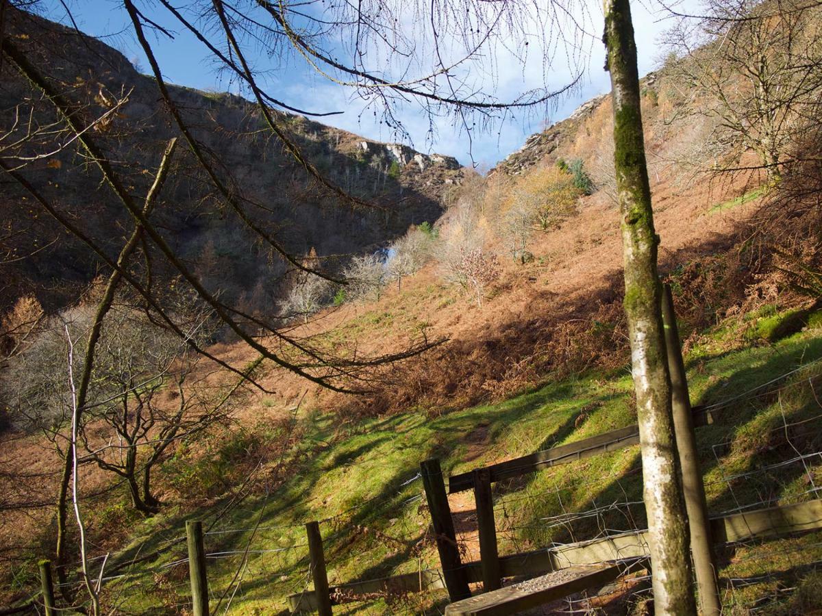 Maesyfelin Isaf B&B Llanybyther Buitenkant foto