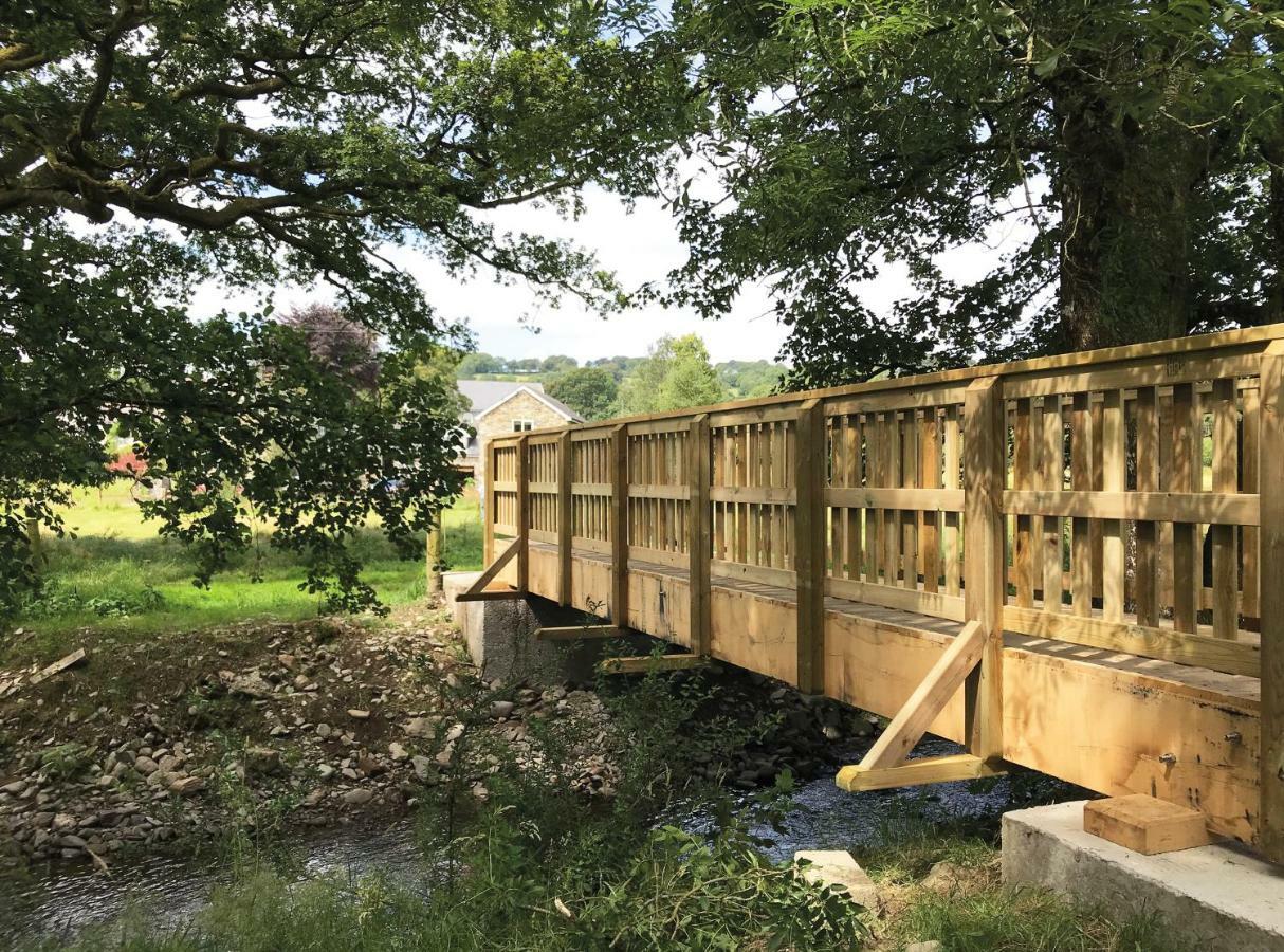 Maesyfelin Isaf B&B Llanybyther Buitenkant foto