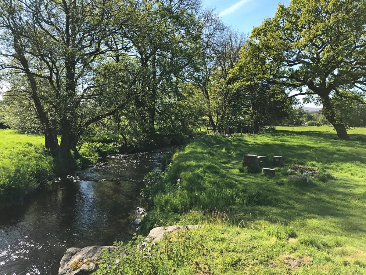 Maesyfelin Isaf B&B Llanybyther Buitenkant foto