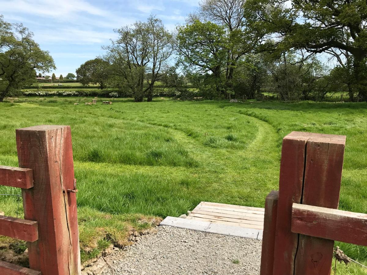 Maesyfelin Isaf B&B Llanybyther Buitenkant foto