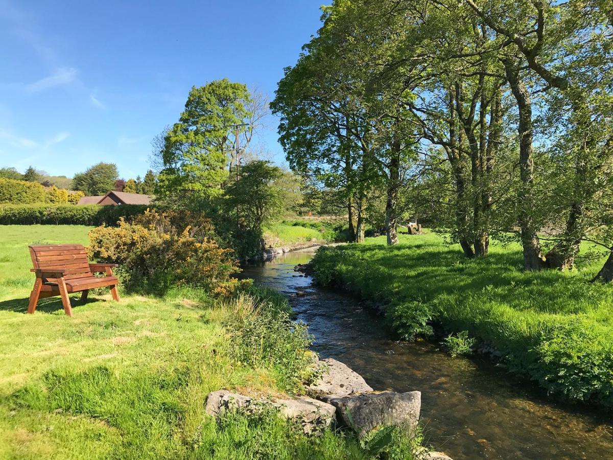 Maesyfelin Isaf B&B Llanybyther Buitenkant foto