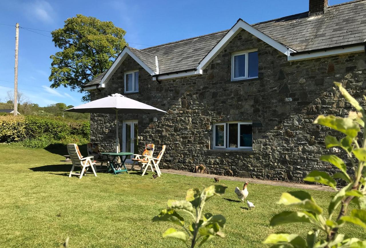 Maesyfelin Isaf B&B Llanybyther Buitenkant foto