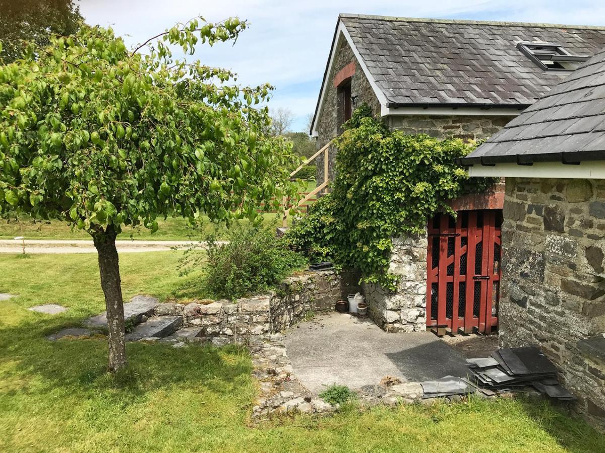 Maesyfelin Isaf B&B Llanybyther Buitenkant foto