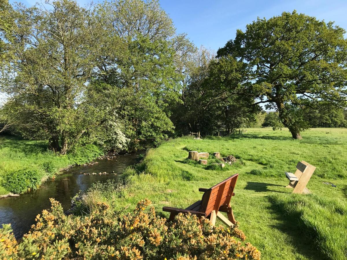 Maesyfelin Isaf B&B Llanybyther Buitenkant foto